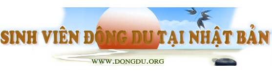 dongdu.info